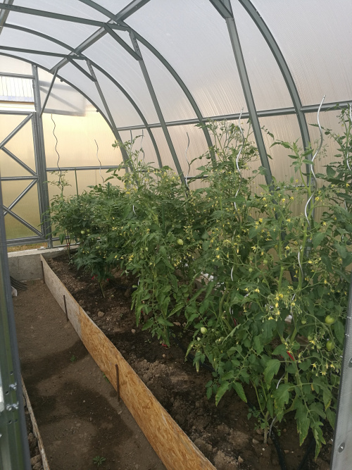 Úroda ze skleníku TRJOSKA Úroda ze skleníku TRJOSKA