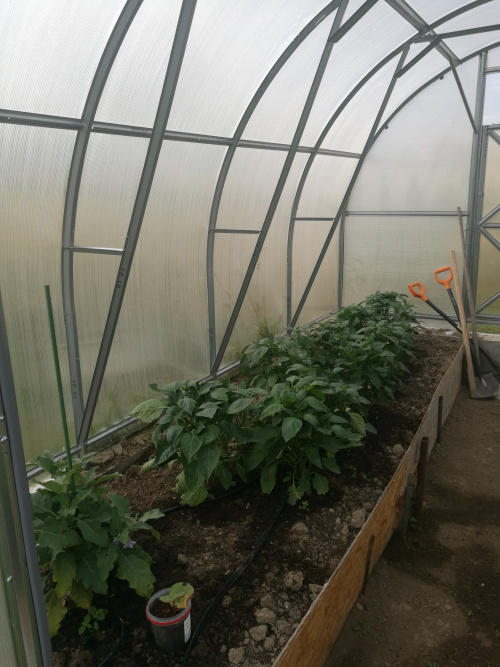 Úroda ze skleníku TRJOSKA Úroda ze skleníku TRJOSKA