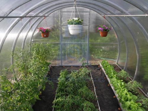 Úroda ze skleníku DODO 210 Úroda ze skleníku DODO 210