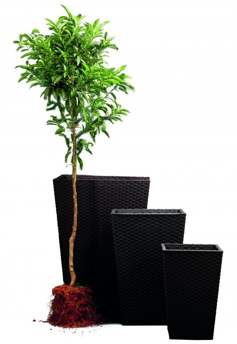 Grafitový květináč Keter Rattan Planter S