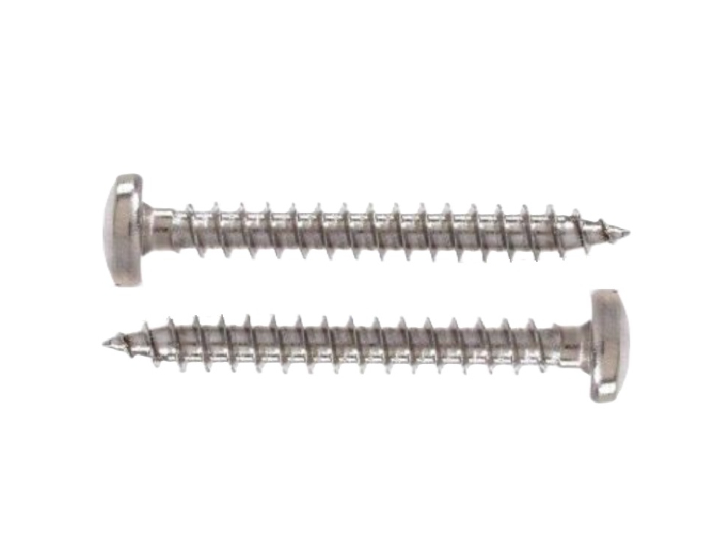 Vrut s půlkulatou hlavou, TORX drážka, nerez A4