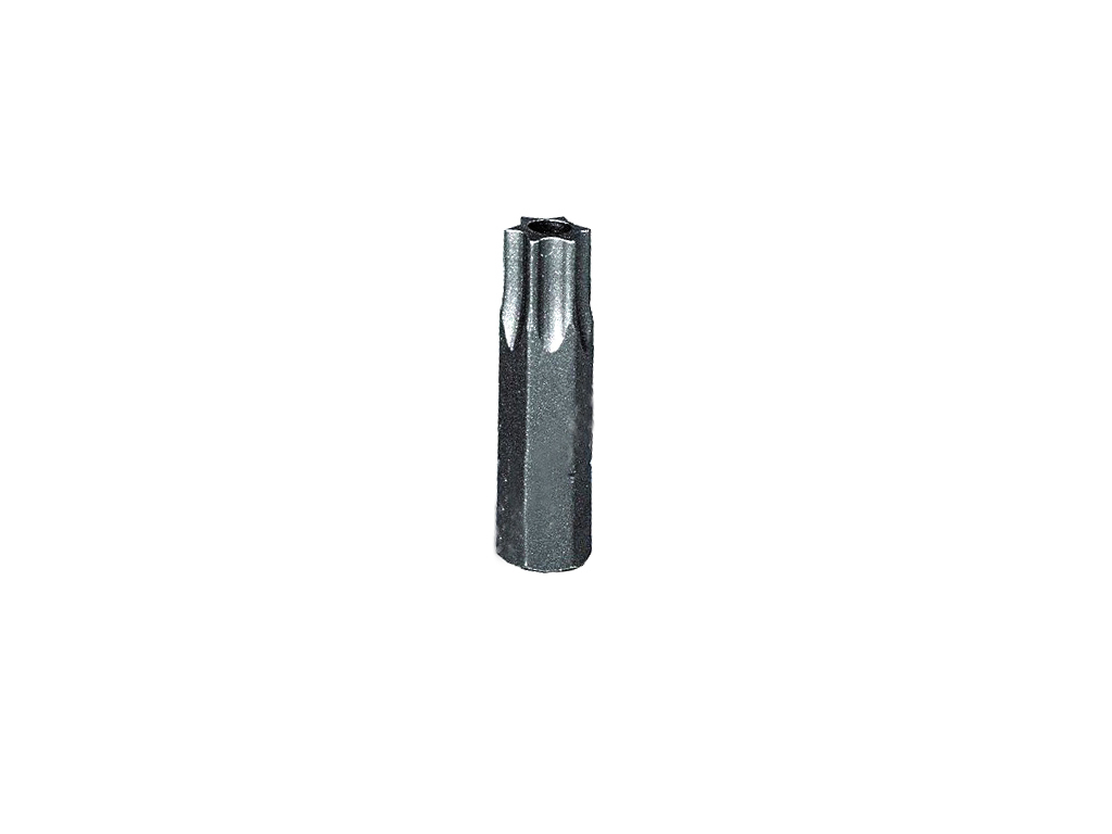Bit TORX security, s otvorom