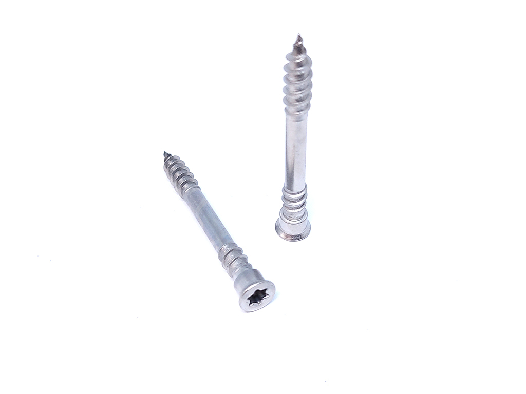 Vrut terasový RAPI-TEC TERASO EKO so závitom pod hlavou, TORX drážka, nerez A2
