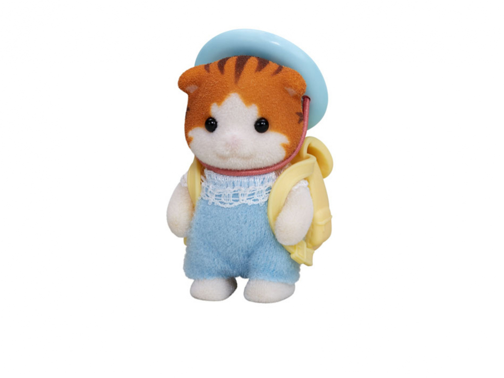 Baby Javorová mačka
