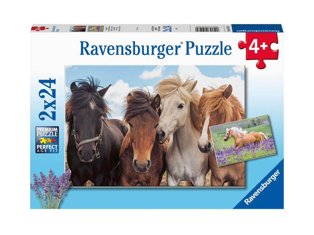 Puzzle fotky koní 2x24 dielikov