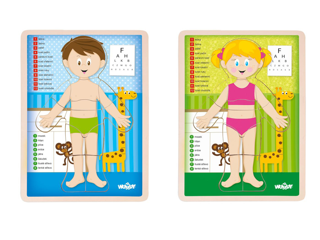 Puzzle "Ľudské telo"