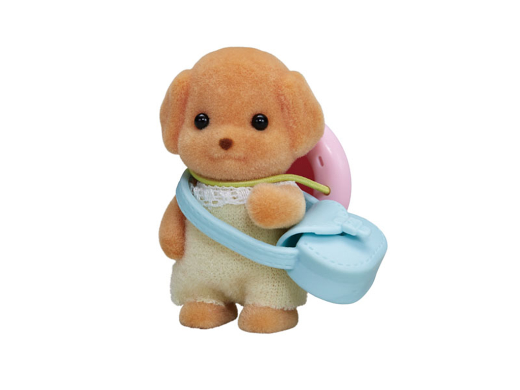 Baby pudel