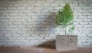 Květináč Natur Box