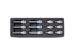Modul A sada zástrčných hlavic XZN 1/2” pro dílenský vozík, 12 dílů, HONITON