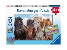 Puzzle fotky koní 2x24 dílků