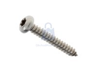 Šroub do plechu DIN 7981C, půlkulatá hlava, drážka TORX, pozinkovaný