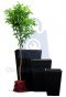 Květináč Rattan Planter