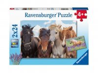 Puzzle fotky koní 2x24 dílků