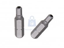 bezpečnostní imbusový bit