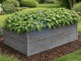 Záhon vyvýšený betonový dřevo, šedý
