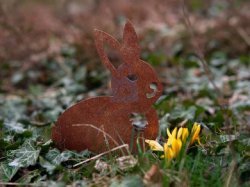 Dekorace zahradní KRÁLÍK, Corgarden