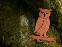 Dekorace zahradní SOVA, Corgarden