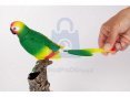 mluvící papoušek