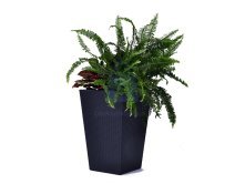Květináč Rattan Planter, Keter