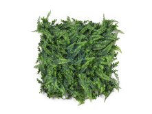 Umělá zelená stěna Listo Ferns, G21